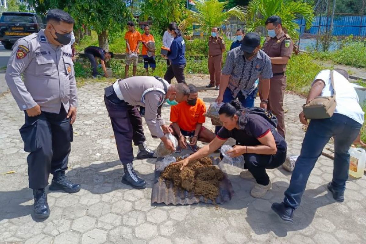 Polsek KPL Jayapura musnahkan empat kilogram ganja asal Papua Nugini