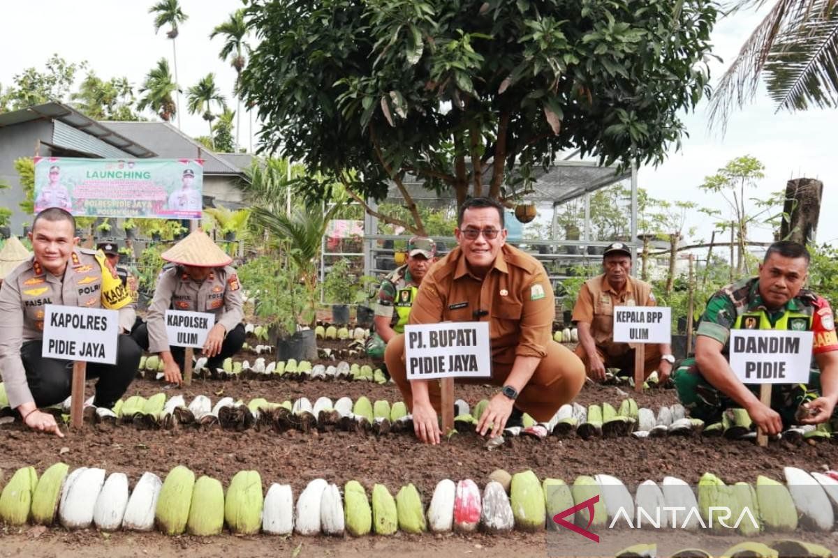 Pemkab Pidie Jaya dukung program pekarangan bergizi untuk pangan