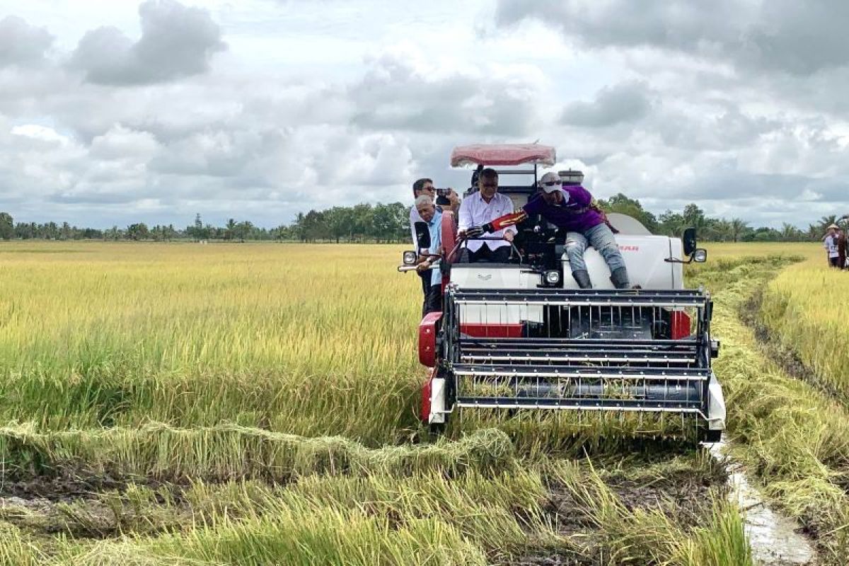 Menko Pangan sebut Bulog beli beras dari pabrik yang serap gabah sesuai HPP