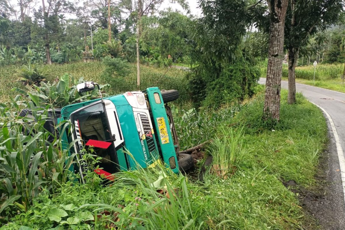 Sebuah truk colt diesel terbalik di pendakian bypass Lubuk Sikaping