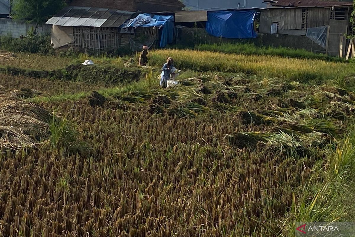 Pemkab Garut tambah lahan pangan 371 hektare pada tahun 2025