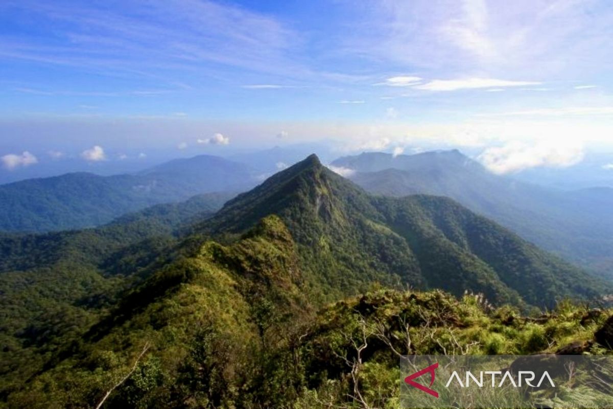 Pendakian di Gunung Halau Halau ditutup karena tradisi Dayak 