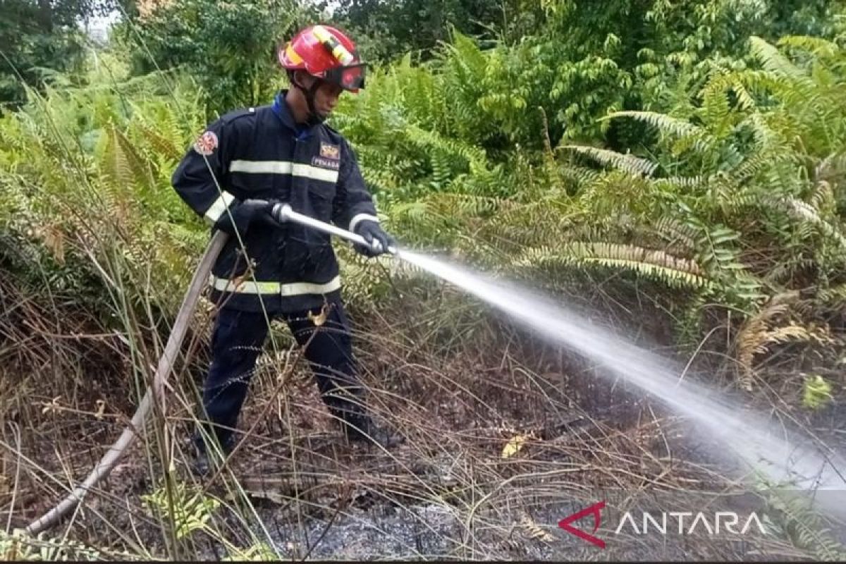 Lahan di Palangka Raya terbakar