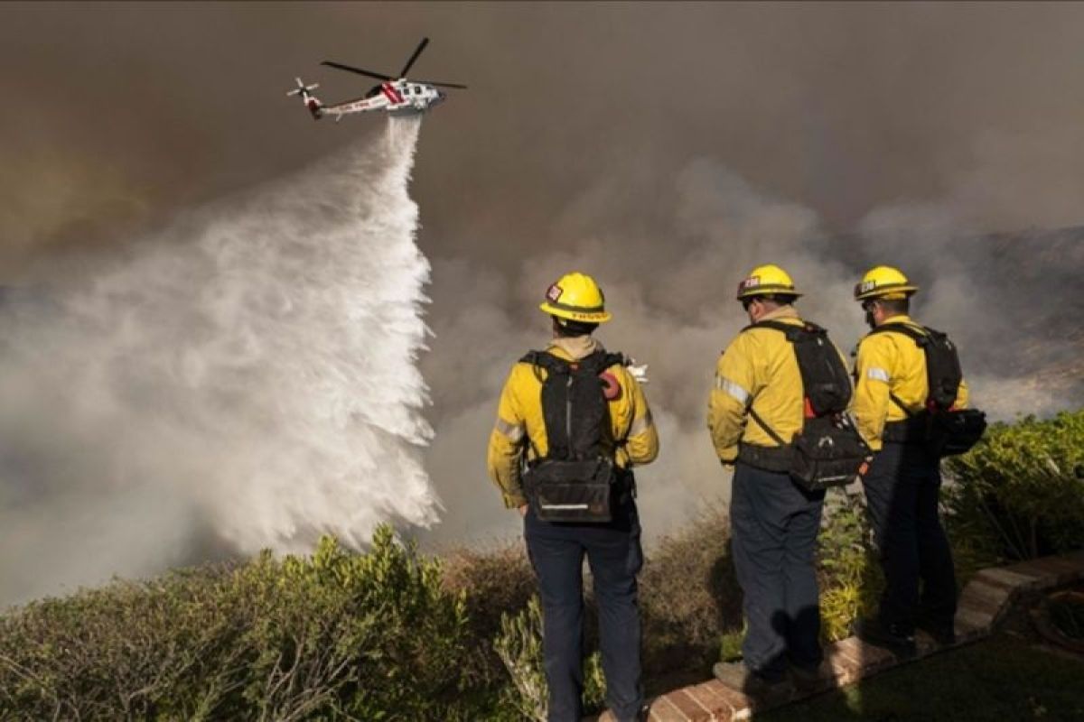 Korban tewas akibat kebakaran hutan di Los Angeles bertambah jadi 24 orang