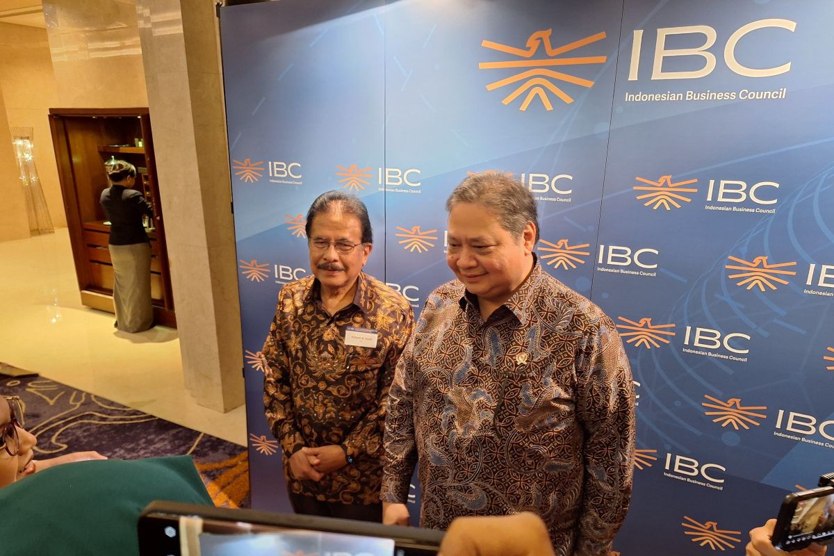 Johor-Singapore zone modeled after Indonesia's SEZ success: Hartarto