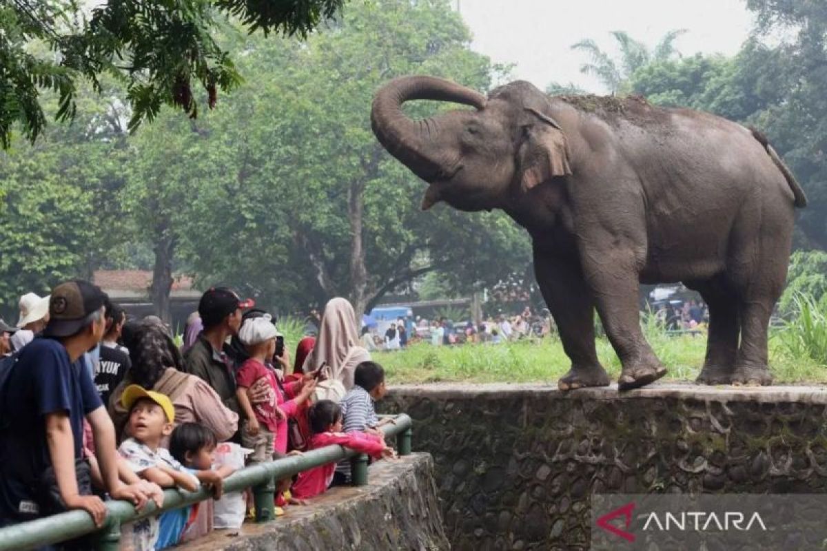 Pengelola Margasatwa Ragunan imbau pengunjung tak merokok di dalam kawasan