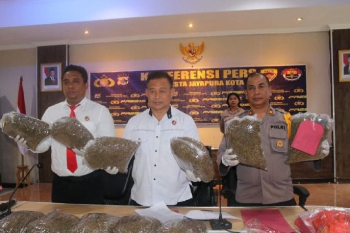 Polda Papua amankan 85 kilogram ganja asal PNG selama 2024