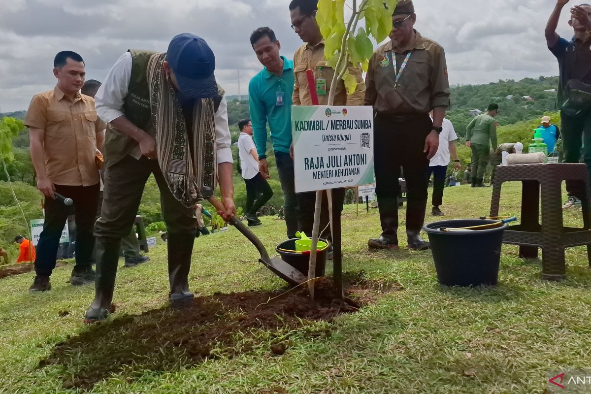 Menteri Kehutanan tanam pohon di Kupang