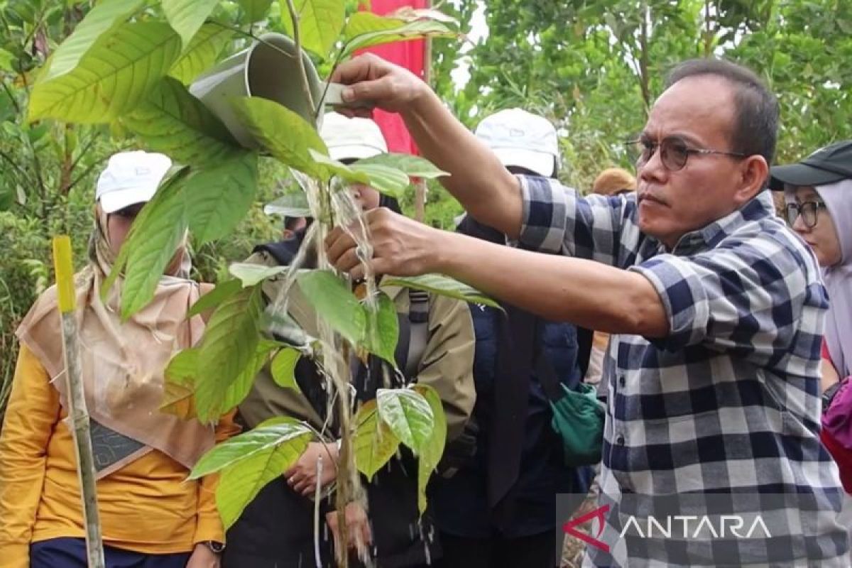 BPDAS rehabilitasi 753 ribu hektare lahan kritis di Kalbar