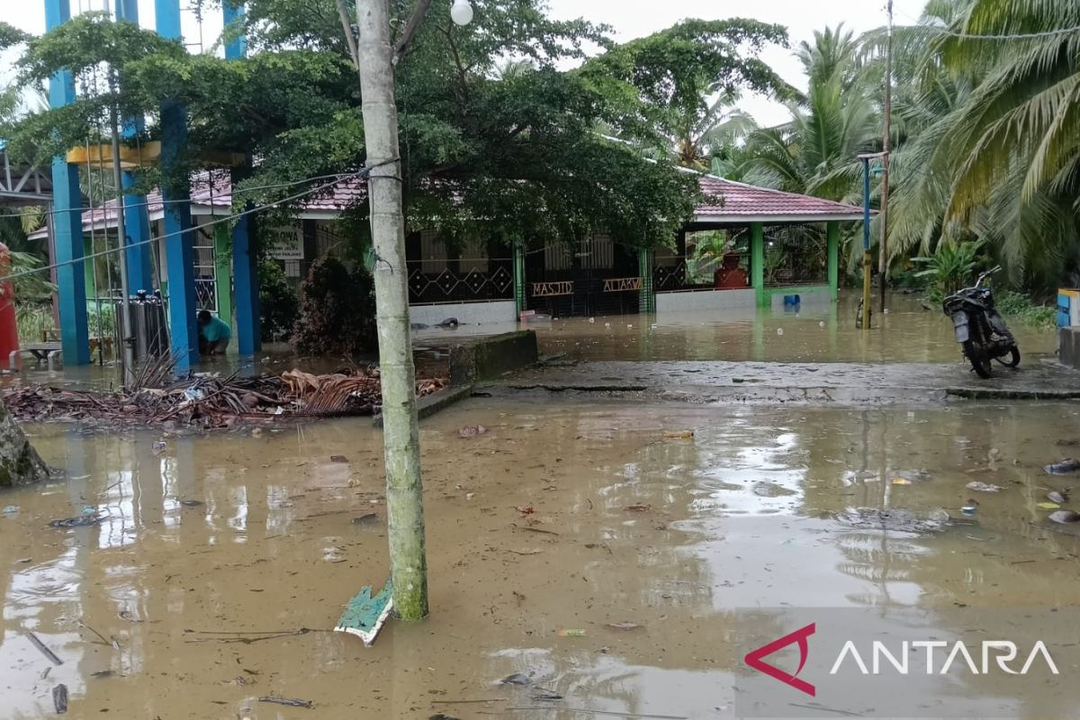 Banjir rob terjang kawasan pesisir Tanjung Jabung Timur Jambi tiga rumah rusak berat