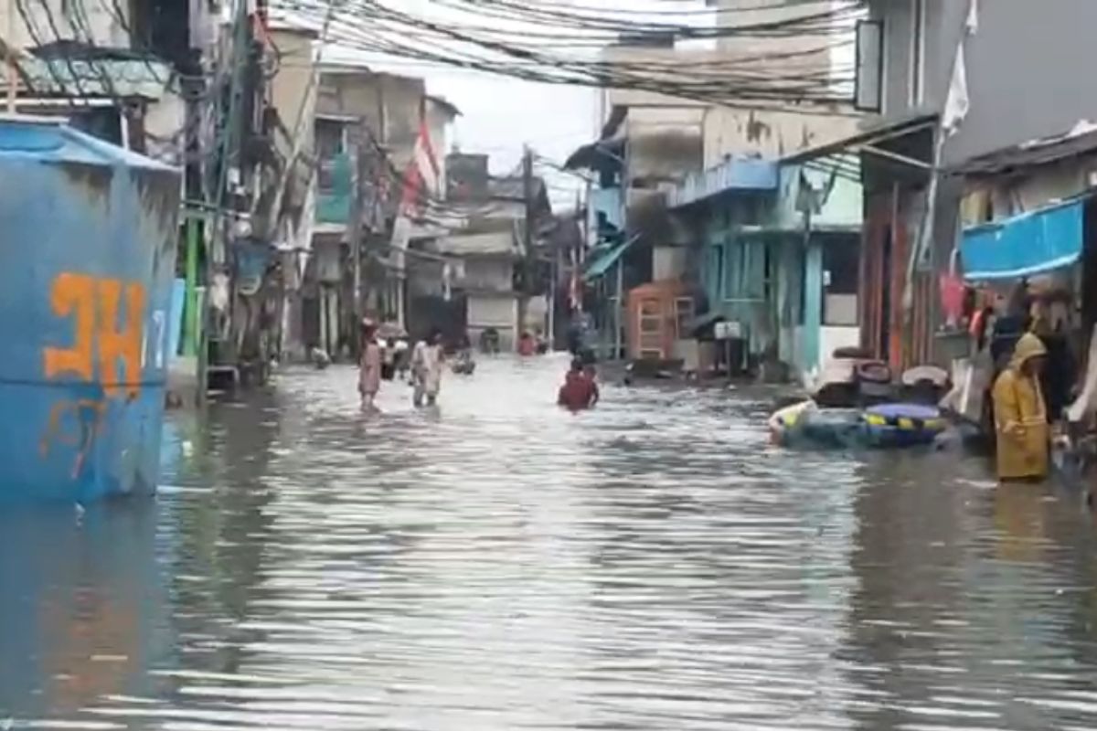 Tiga RT di Pluit terendam banjir rob hingga ketinggian air 50 cm