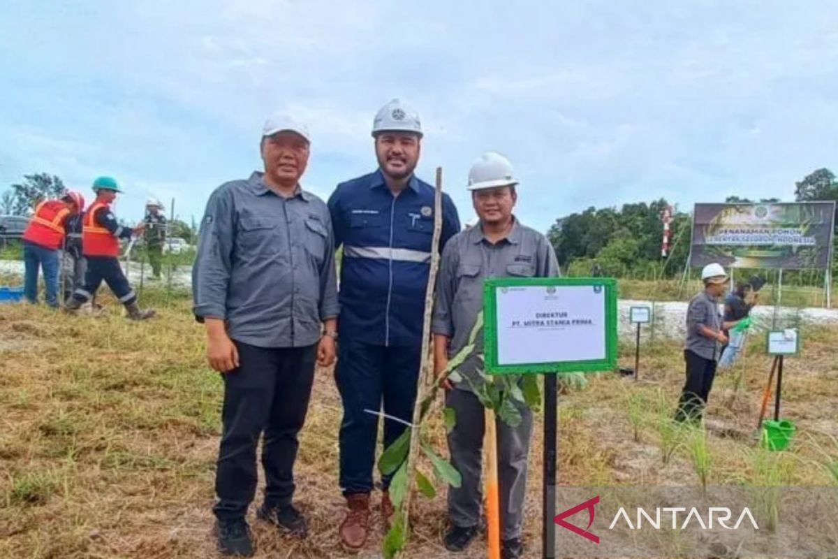 Arsari Tambang komitmen tanam sejuta pohon di Babel