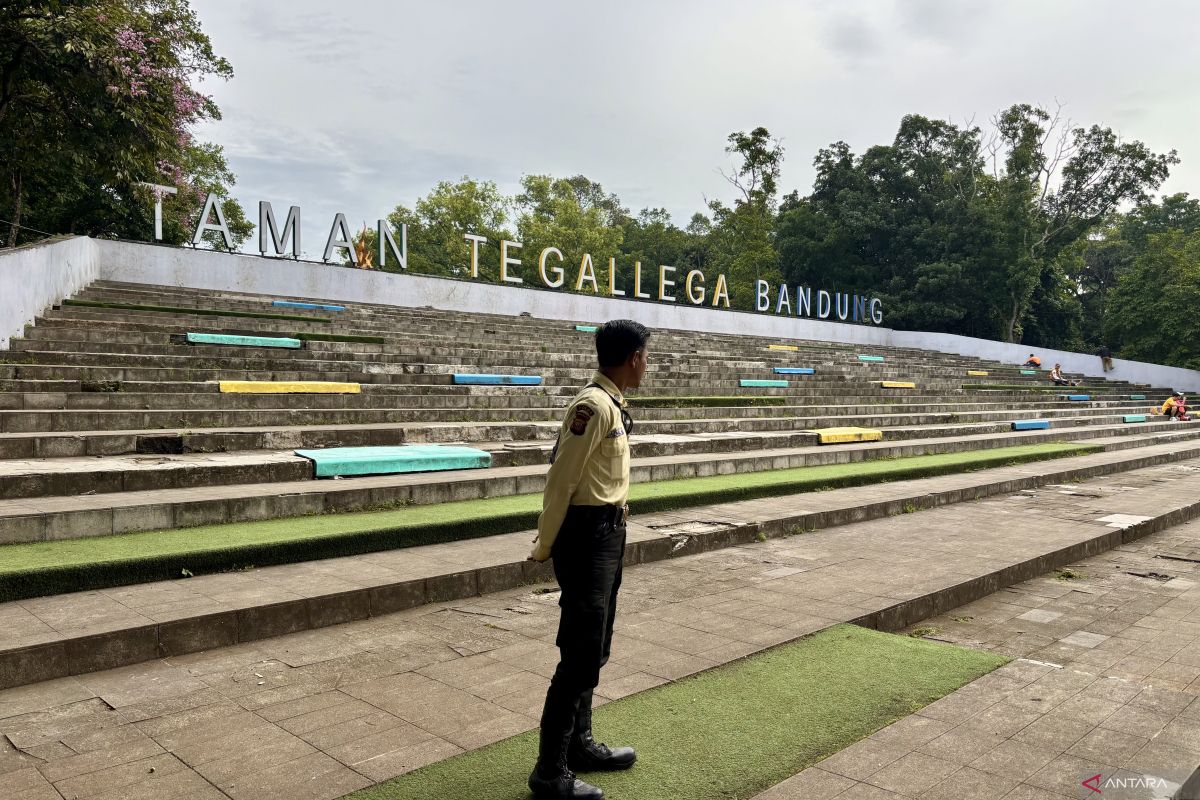 Satpol PP Kota Bandung tegur para pencari koin aplikasi Jagat karena merusak taman