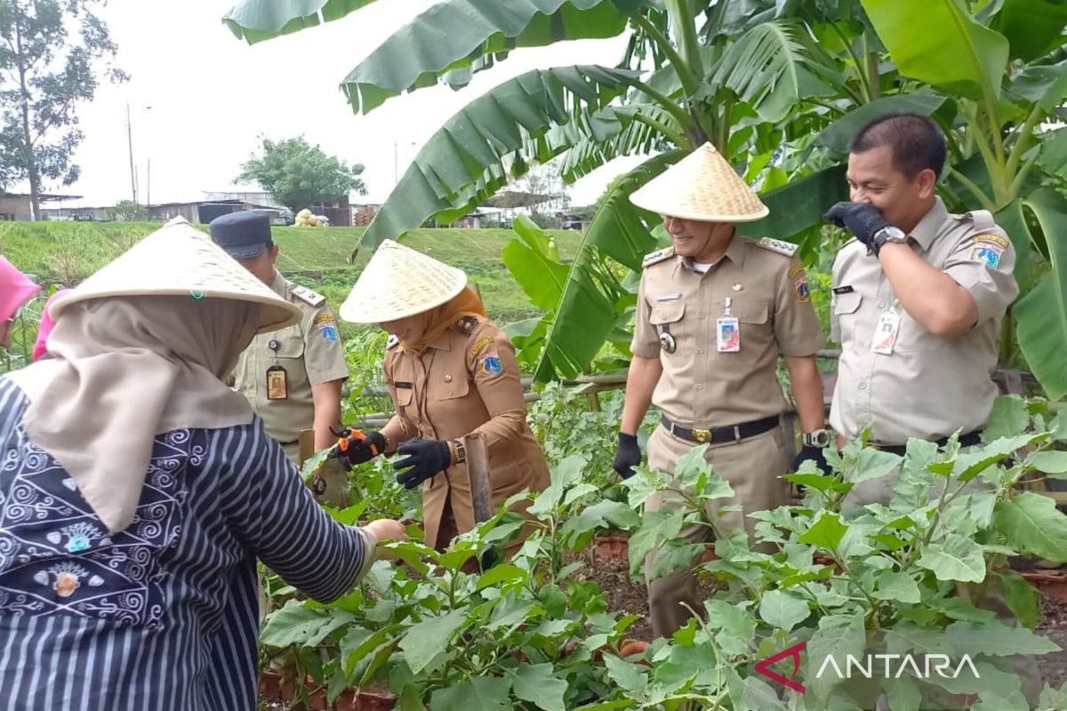 Jaktim akan tanam pohon pisang dan jagung di sepanjang bantaran KBT Duren Sawit