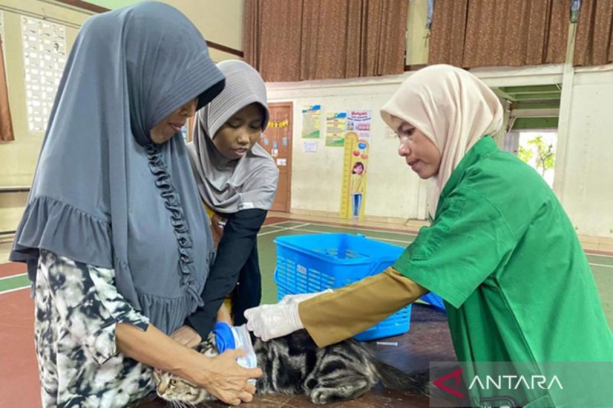 Jaktim targetkan vaksinasi rabies 13 ribu HPR sepanjang 2025