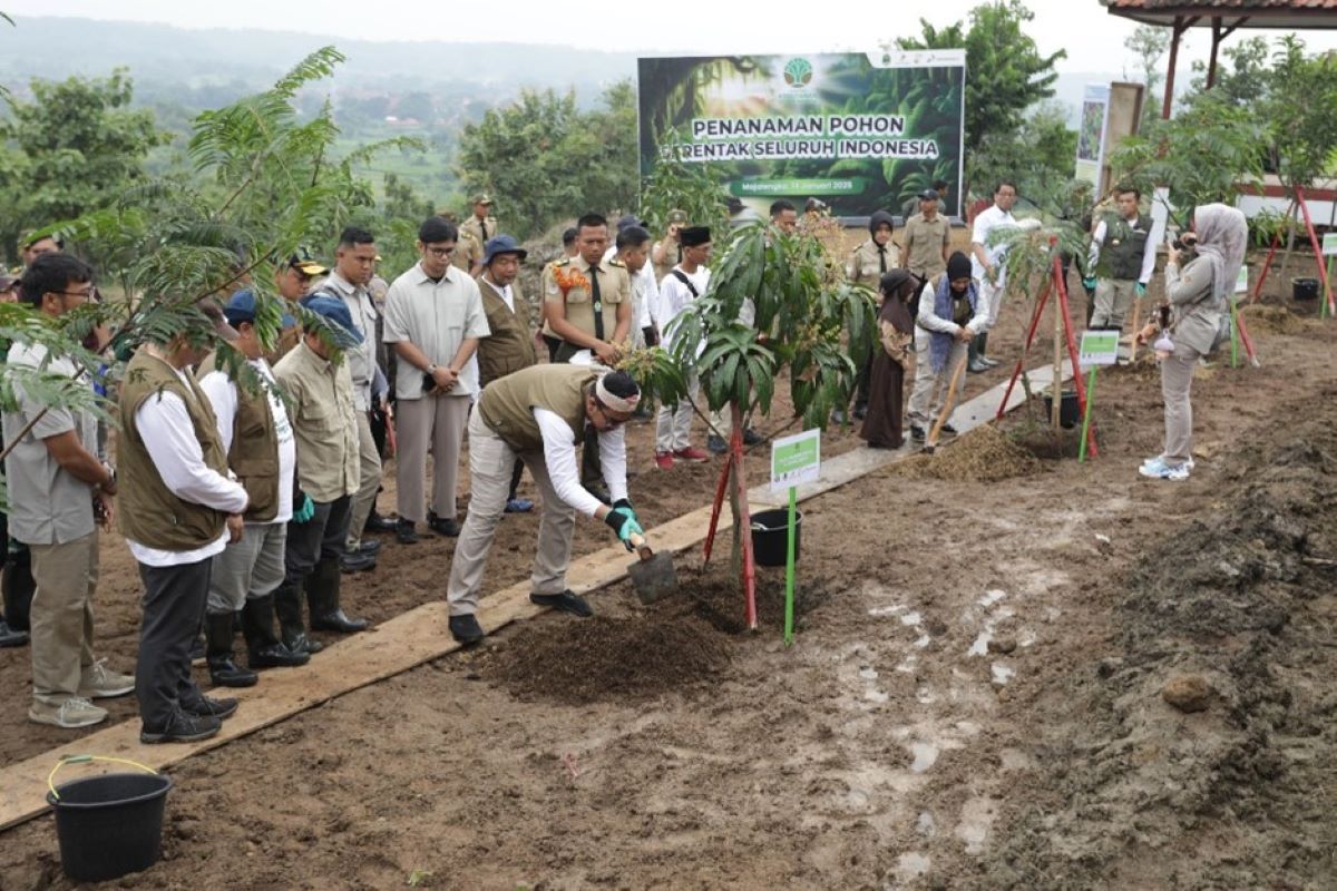 Pertamina EP hijaukan 6,3 hektare lahan DAS guna lestarikan lingkungan