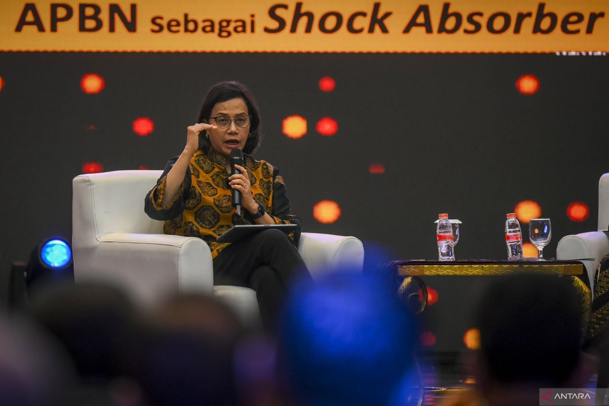 Menkeu Sri Mulyani-Luhut Pandjaitan bahas integrasi Coretax dengan GovTech