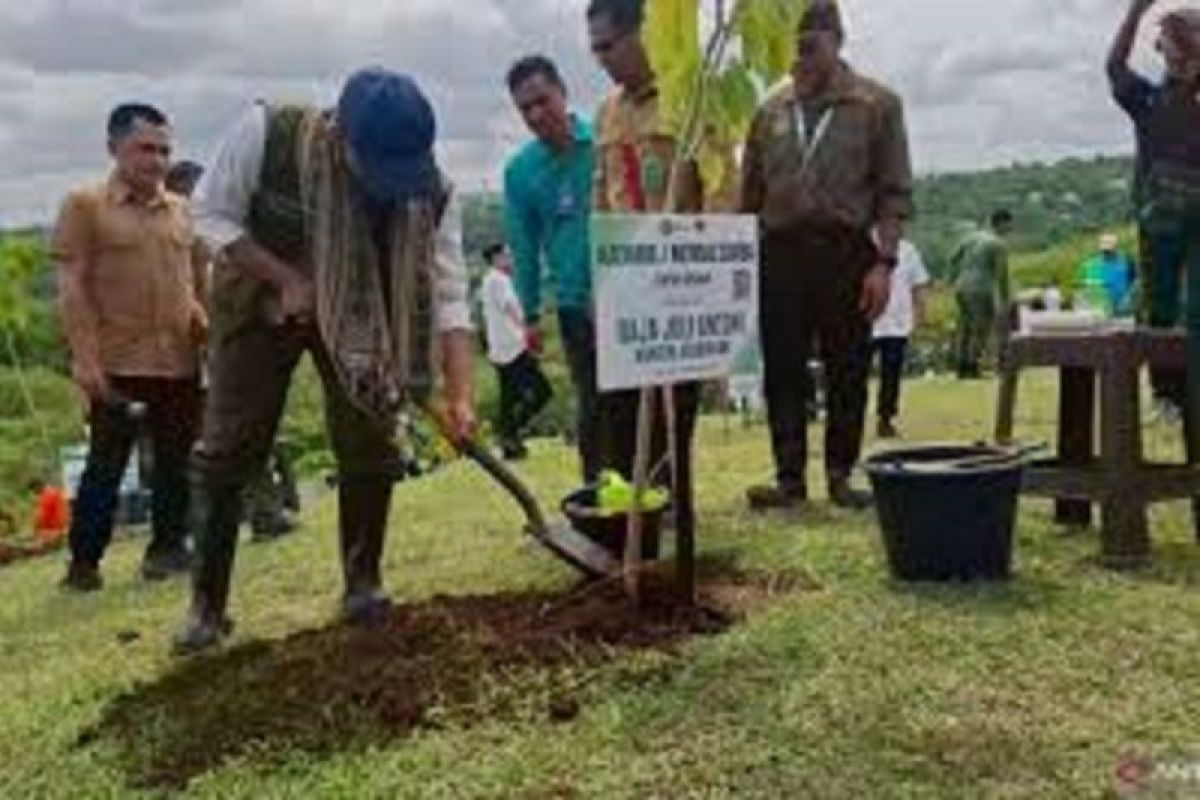 Menhut Raja Juli Antoni tanam pohon di Kupang bentuk dukungan swasembada pangan