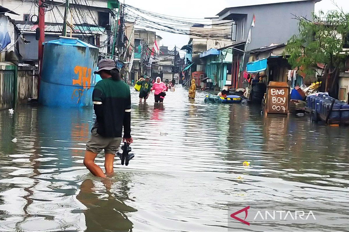 Banjir rob tak lumpuhkan aktivitas warga Muara Angke