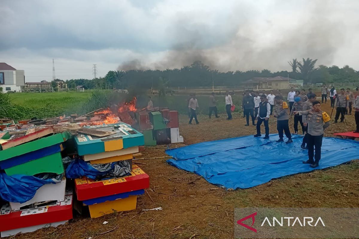 Selama setahun, polisi  tangkap 702 orang kasus judi di Sumut