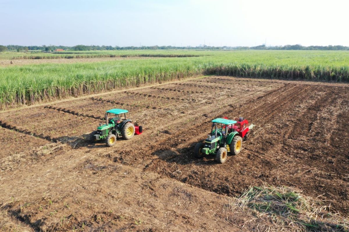 ID FOOD lakukan pengamanan aset lahan untuk dukung swasembada