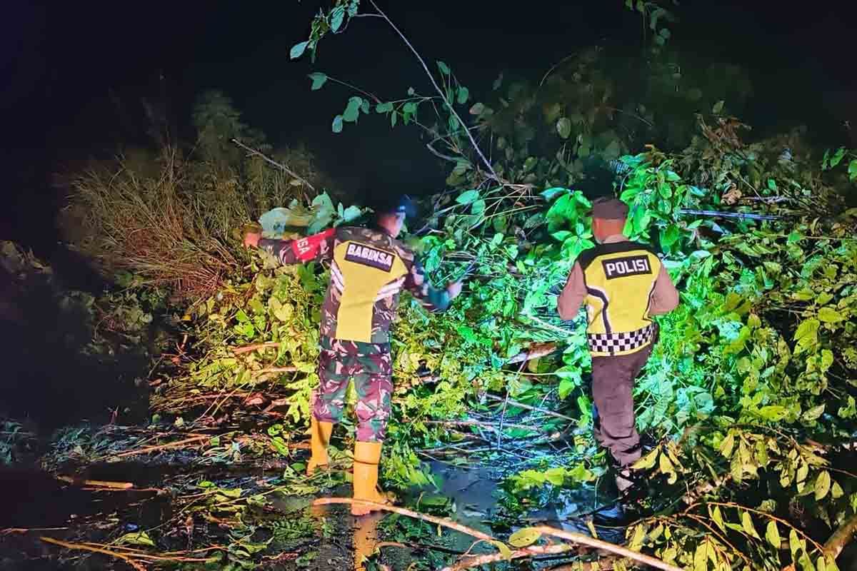 Jalan Penghubung Aceh Timur dengan Gayo Lues kembali longsor