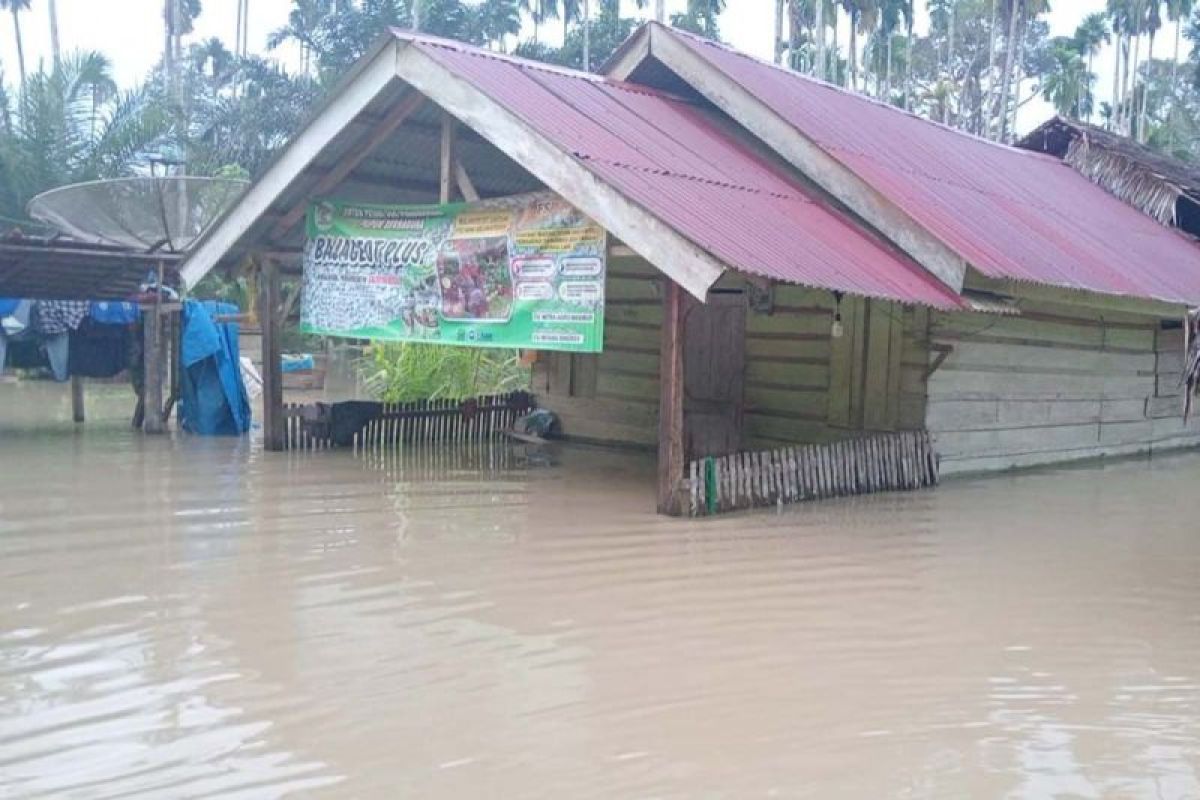 BPBD: Sebanyak 280 rumah di pedalaman Aceh Timur terendam banjir