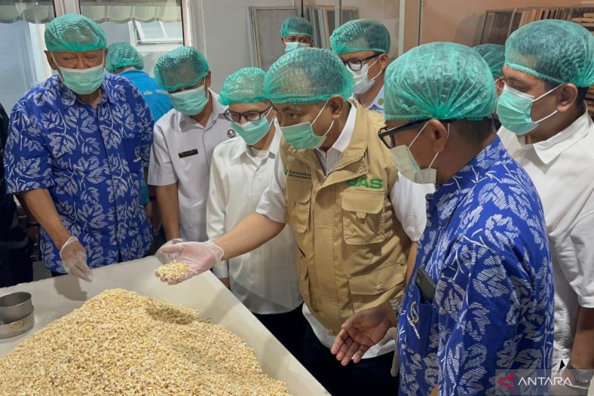 Menkop dukung Kopti Bogor jadi pemasok tempe-tahu Makan Bergizi Gratis