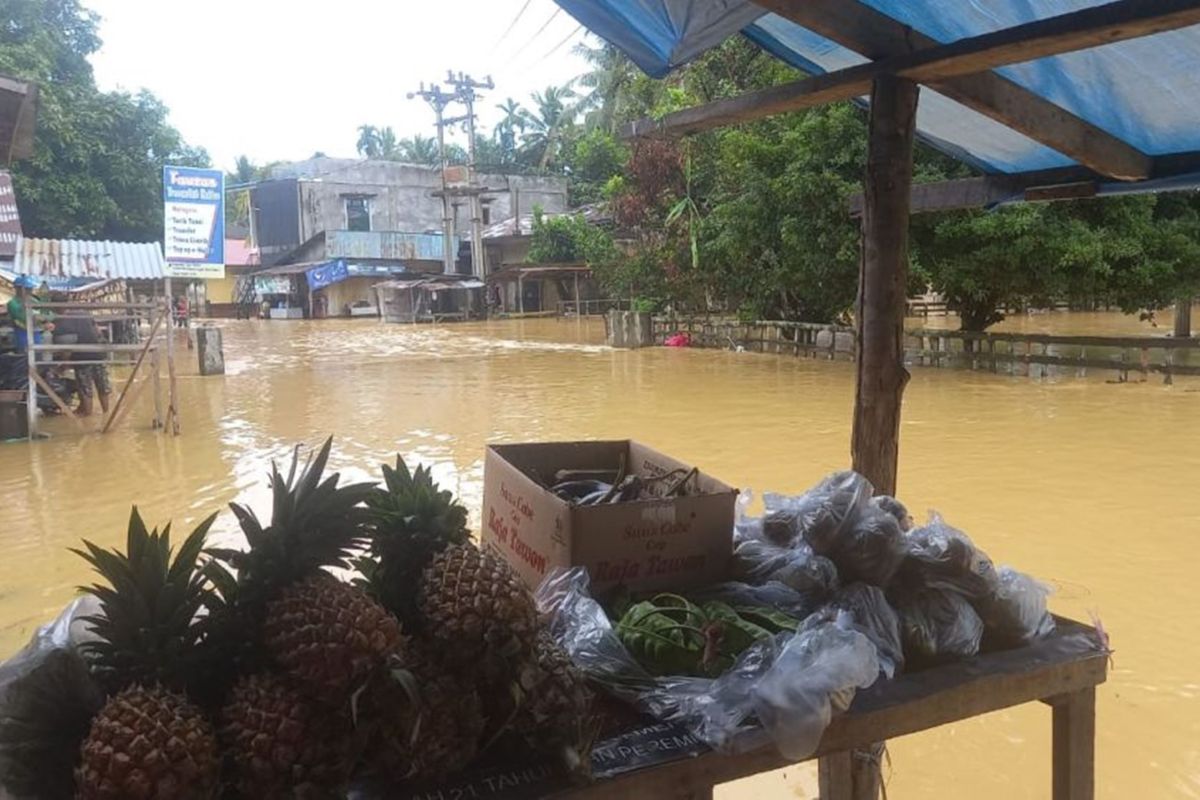 Riau bentuk satgas siaga bencana hidrometeorologi