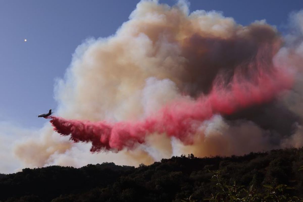 Petugas damkar terus berjuang jinakkan karhutla Los Angeles