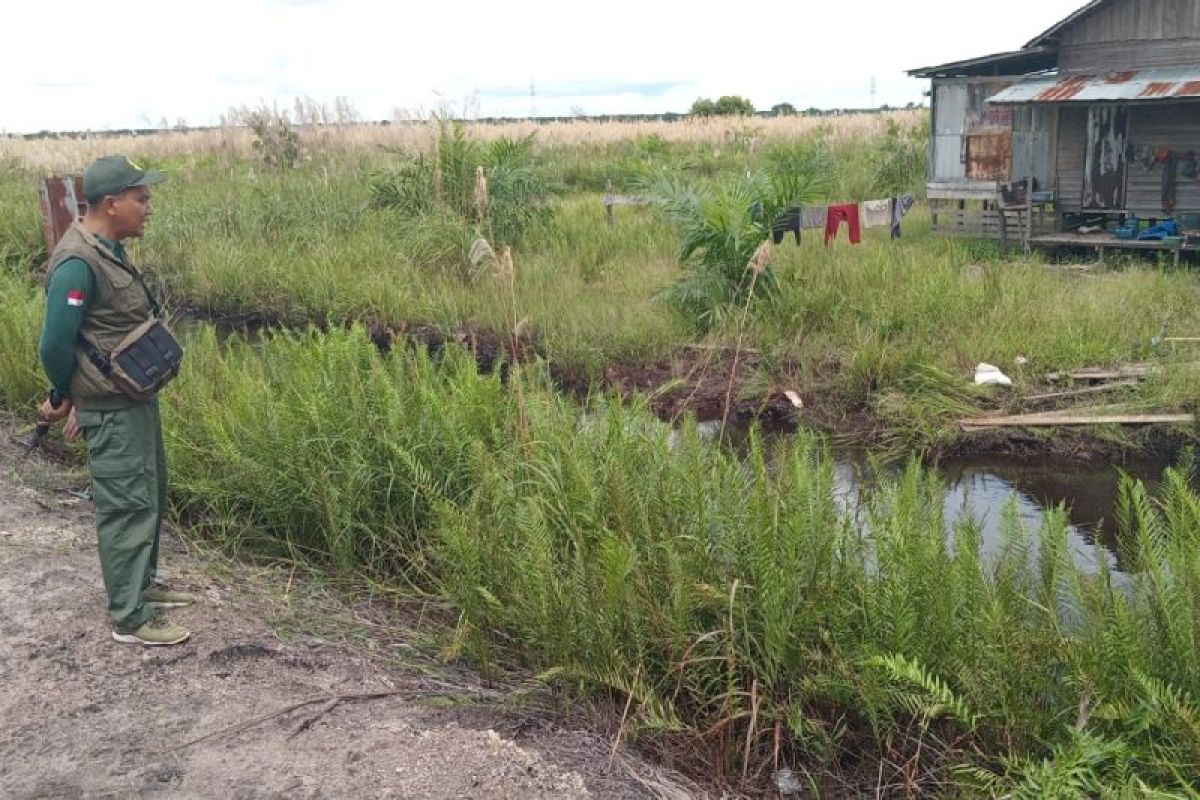 Lokasi serangan buaya di Desa Lampuyang dinilai tak biasa