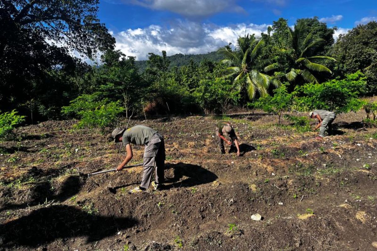 Satgas Madago Raya Polda Sulteng aktif dukung swasembada pangan