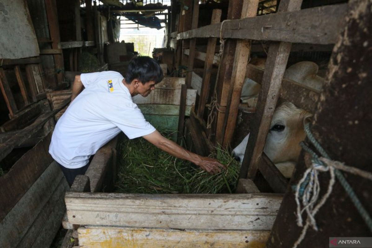 Pemprov harap 2025 tak ada lagi desa di Aceh tak mencairkan dana desa