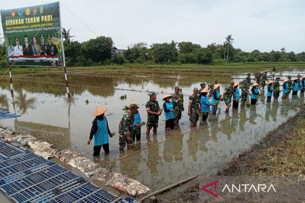 Mentan meninjau gerakan tanam padi akibat genangan banjir di Bantul