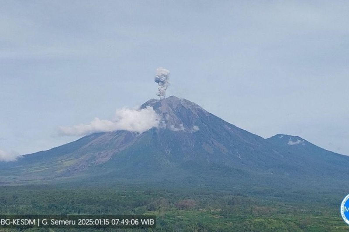 Gunung Semeru kembali erupsi dengan letusan setinggi 900 meter