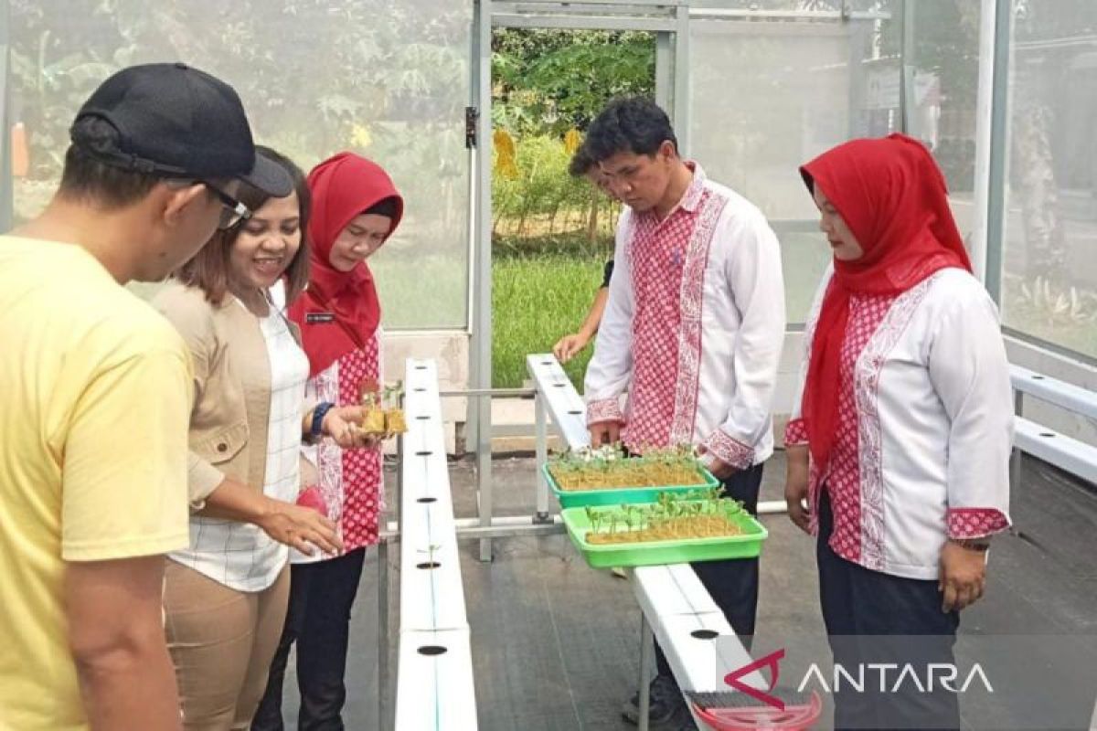 Pekalongan  uji coba budi daya melon madu berbasis smart farming