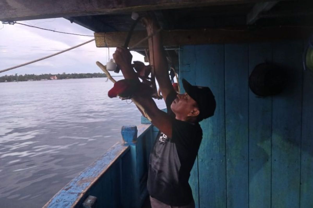 BKSDA Maluku amankan lima ekor satwa Nuri Ternate di Pelabuhan Tobelo dalam operasi pengawasan