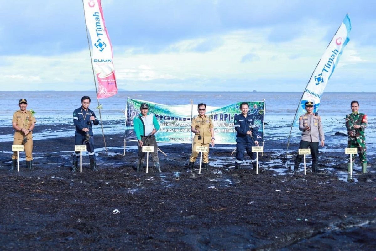 PT Timah tanam 3.000 pohon mangrove di Pantai Sesai untuk cegah abrasi pada Selasa