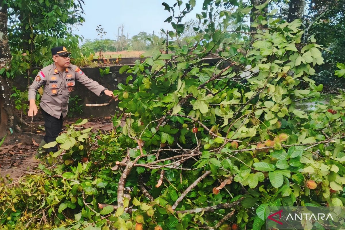 Pemkab Bintan Kepri tetapkan status tanggap darurat bencana