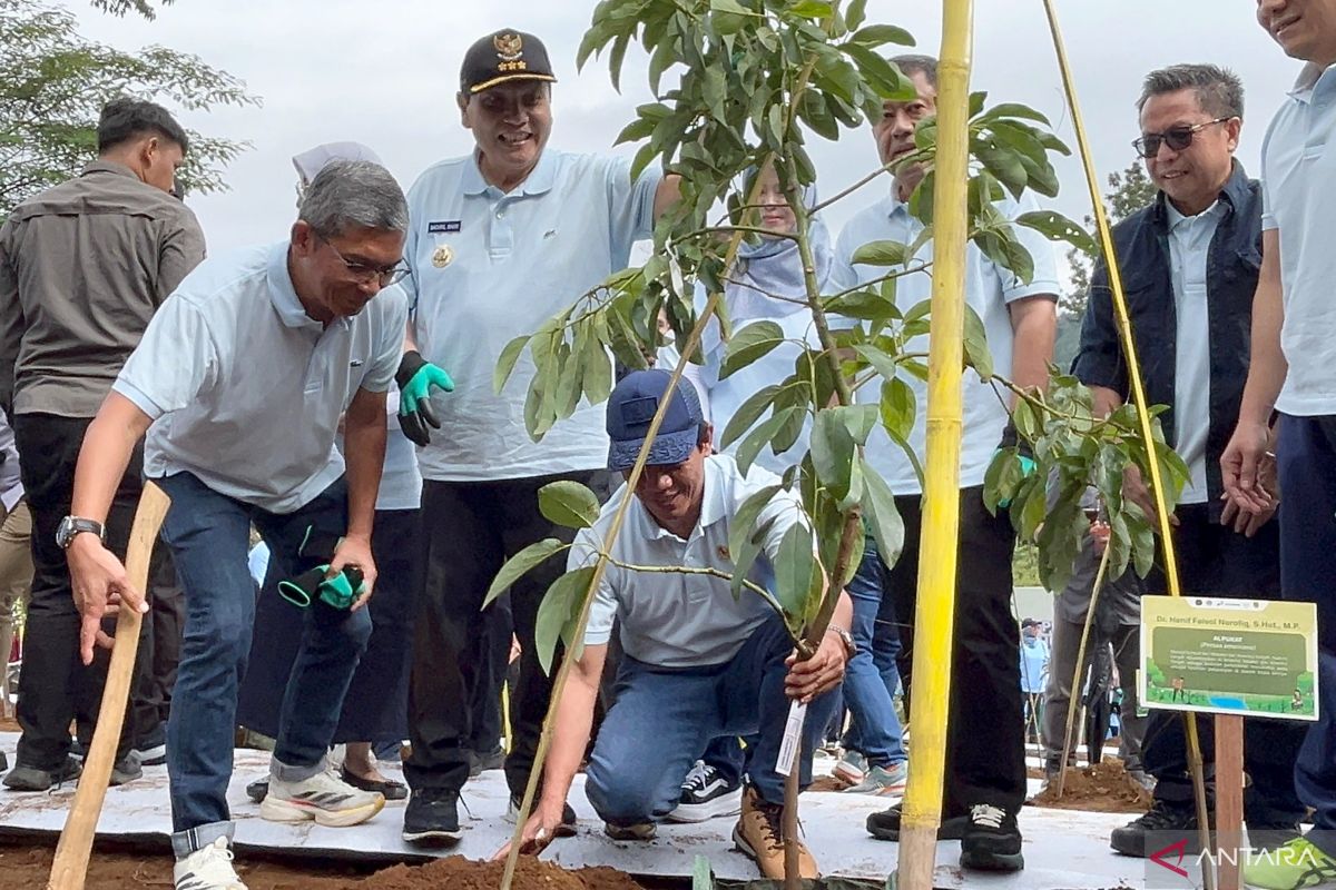 Menteri LH pimpin aksi penanaman 2.450 bibit pohon di hulu Sungai Ciliwung