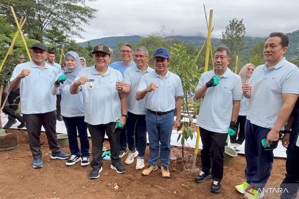 Pj bupati Bogor apresiasi Menteri LH bantu penataan Puncak lewat tanam pohon