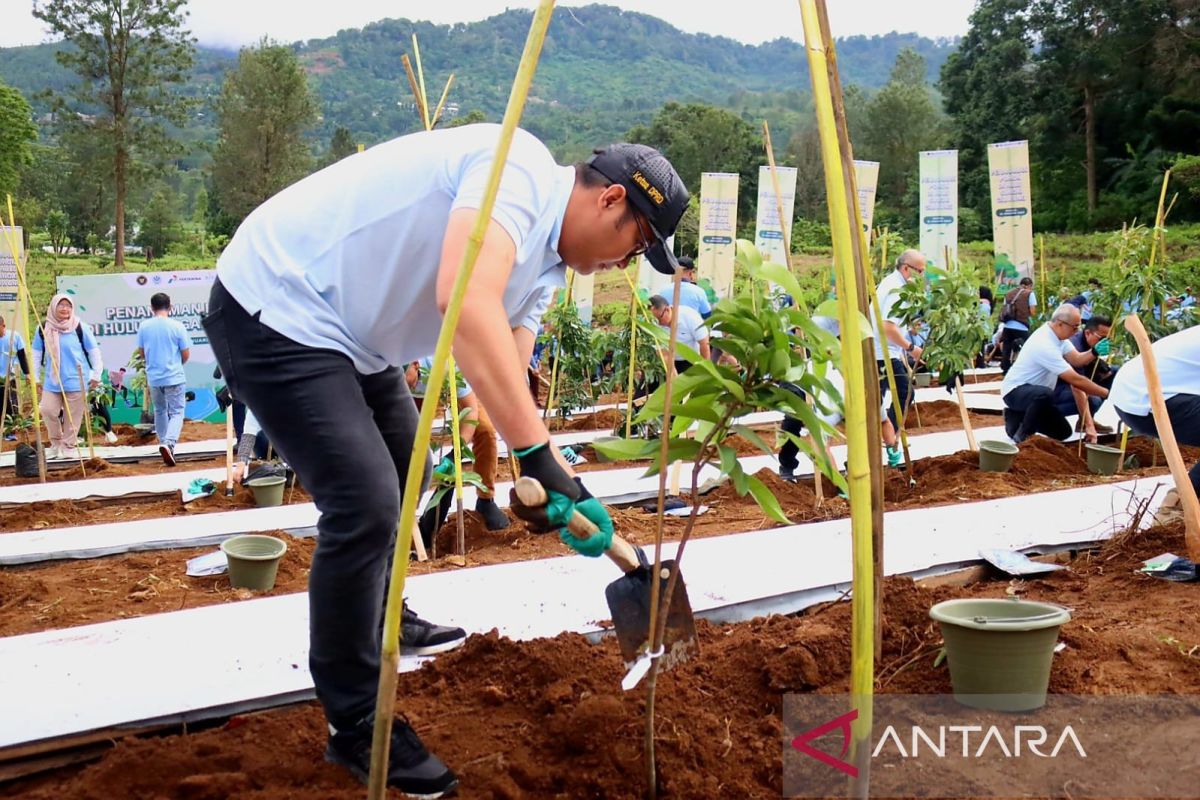 Ketua DPRD Bogor tanam 2.450 pohon di hulu Ciliwung bersama Menteri LH