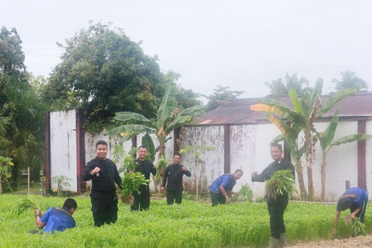 Lapas Tarakan Berdayakan Warga Binaan Dukung Ketahanan Pangan Nasional