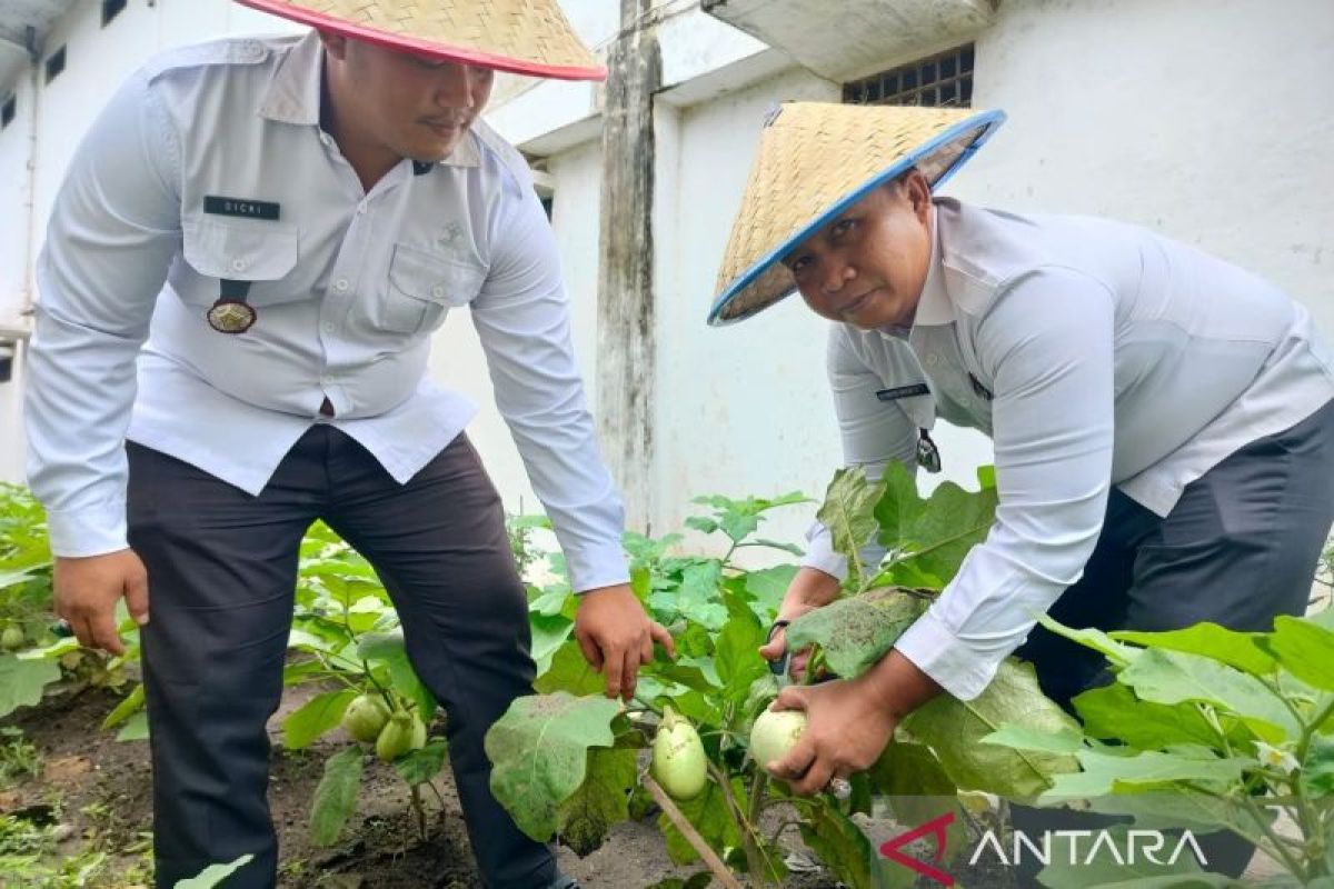 Lapas Martapura lakukan panen  raya tanaman holtikultura