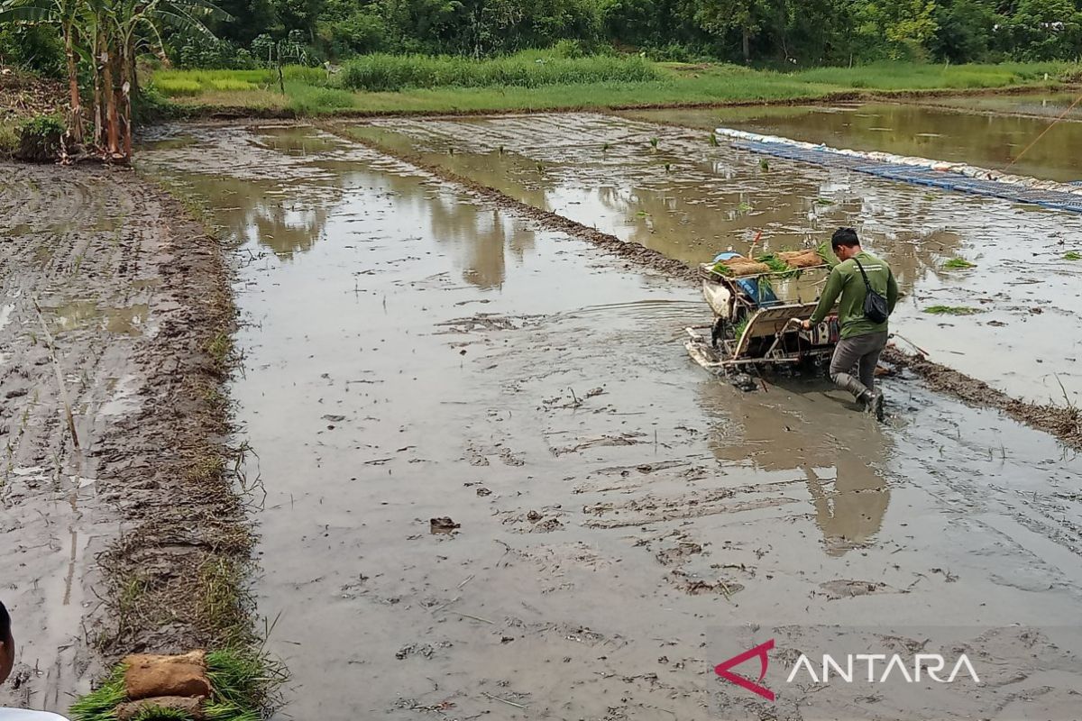 Bupati sebut sektor pertanian Bantul beri kontribusi pertumbuhan ekonomi