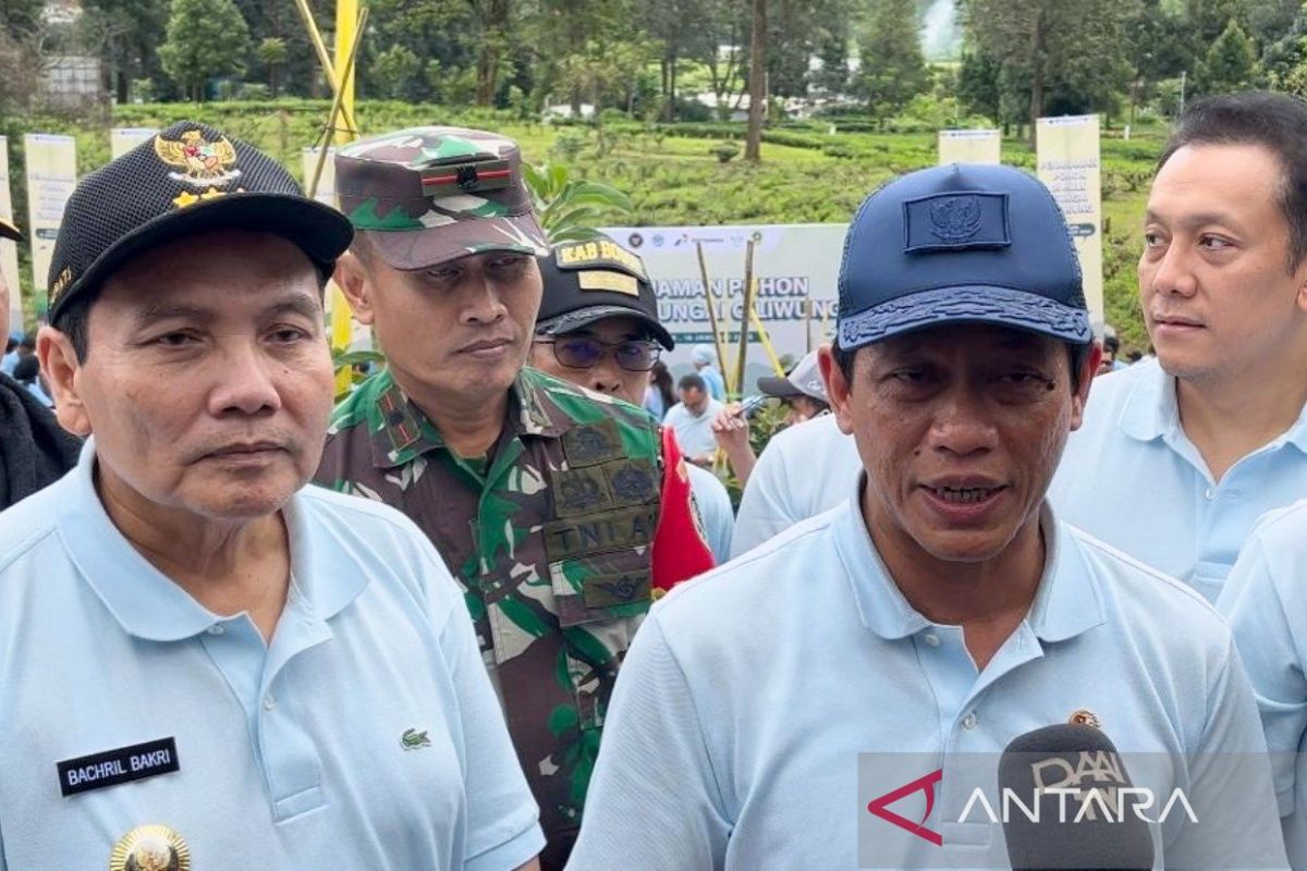 Menteri LH ajak setop investasi bangun vila di Puncak demi lingkungan asri