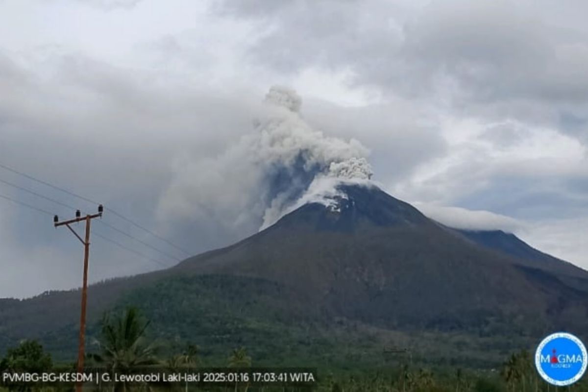 Gunung Lewotobi Laki-laki erupsi empat kali