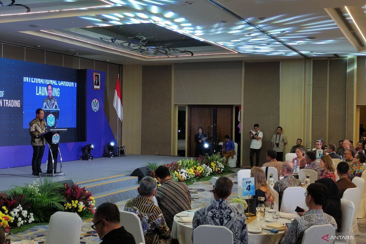 Indonesia committed to transparency in international carbon trading