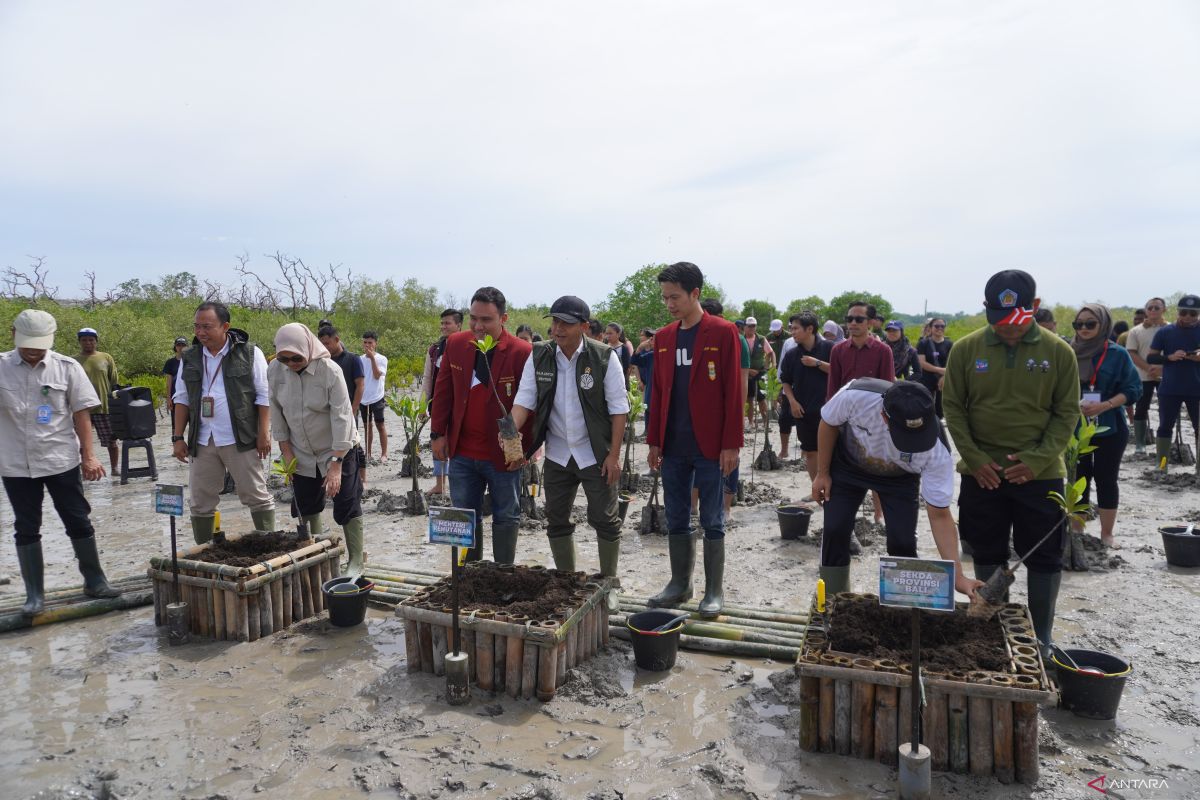 Menhut tanam lima hektare mangrove di Bali