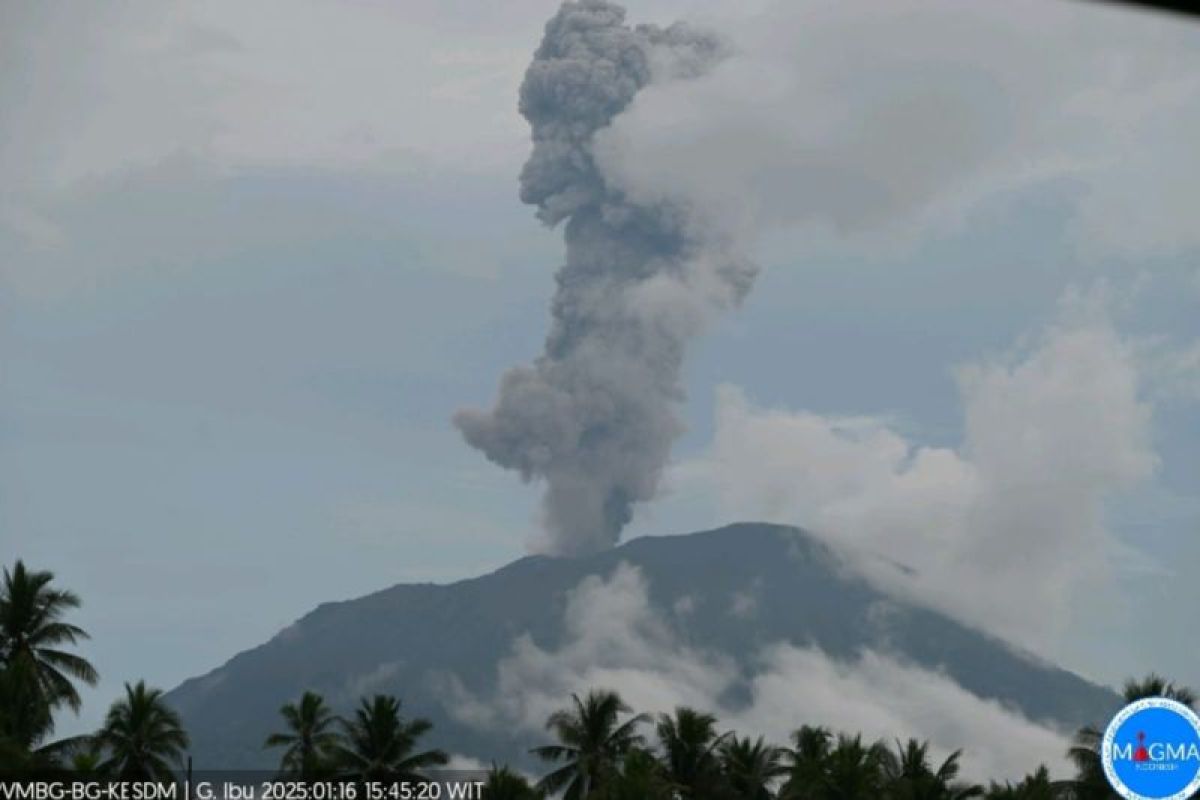 Gunung Ibu semburkan abu setinggi 1.500 meter